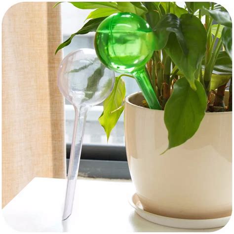 plant waterer glass|glass watering bulbs for plants.